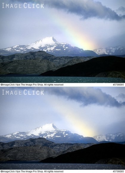 적녹색약이 보는 세상 | 인스티즈