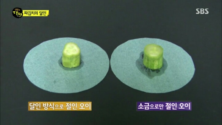 오늘 자 생활의 달인 "파김치, 오이 소박이의 달인 "파김치 좋아하는 사람 커몬 | 인스티즈