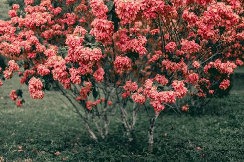  목적한 바를 이루기 위한 12가지 조언들 | 인스티즈
