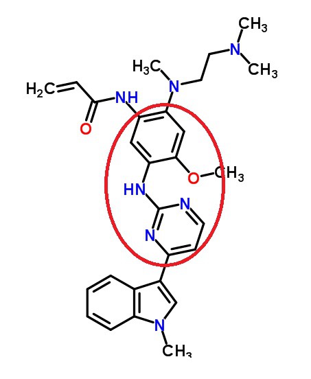 한미약품 폐암치료제 올리타 개발 힘들었던 이유 중 하나 | 인스티즈