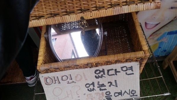 애인이 왜 없는지 알려주는 상자.JPG | 인스티즈