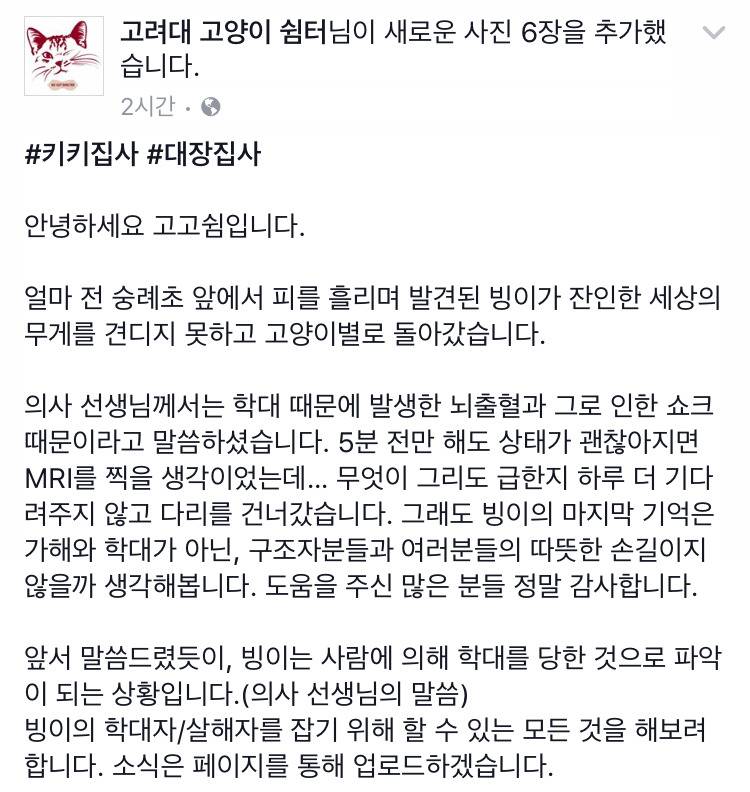 빙이가 잔인한 세상의 무게를 견디지 못하고 고양이별로 돌아갔습니다 | 인스티즈