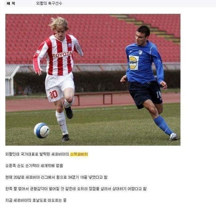 해충갤 전설의 레전드 사건.jpg | 인스티즈