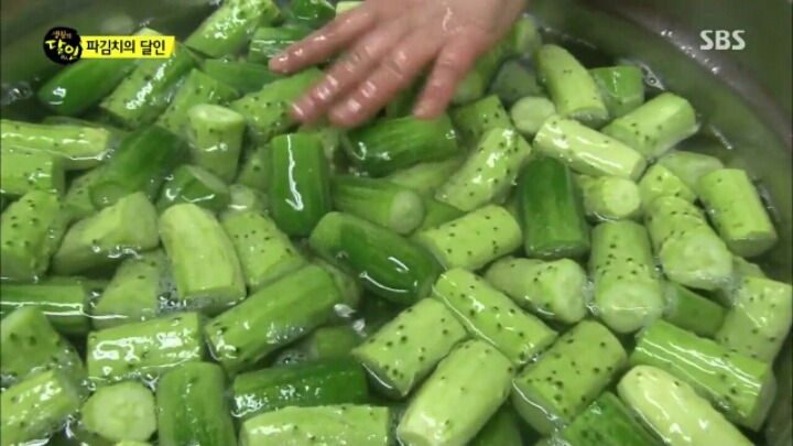 오늘 자 생활의 달인 "파김치, 오이 소박이의 달인 "파김치 좋아하는 사람 커몬 | 인스티즈
