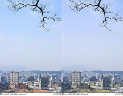 적녹색약이 보는 세상 | 인스티즈