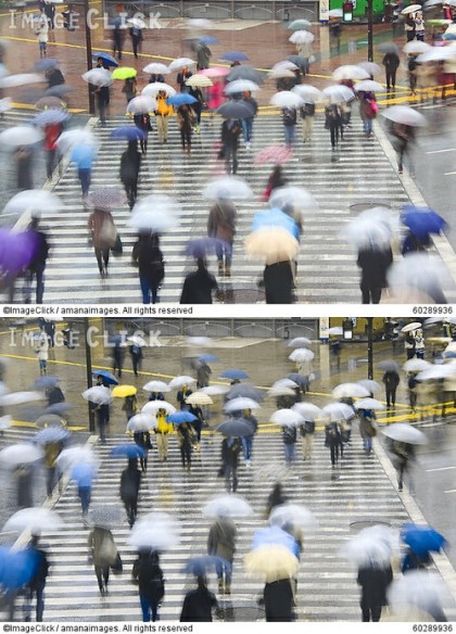 적녹색약이 보는 세상 | 인스티즈