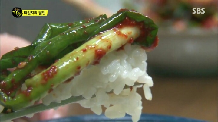 오늘 자 생활의 달인 "파김치, 오이 소박이의 달인 "파김치 좋아하는 사람 커몬 | 인스티즈