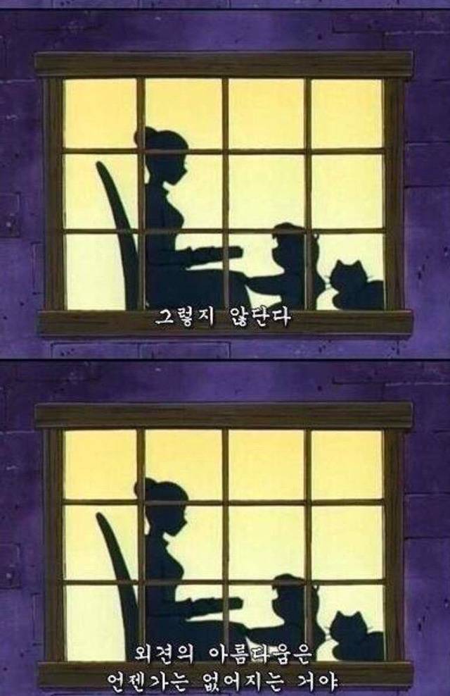 외견의 아름다움은 언젠가 사라진단다 | 인스티즈