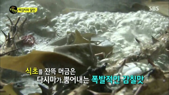 오늘 자 생활의 달인 "파김치, 오이 소박이의 달인 "파김치 좋아하는 사람 커몬 | 인스티즈