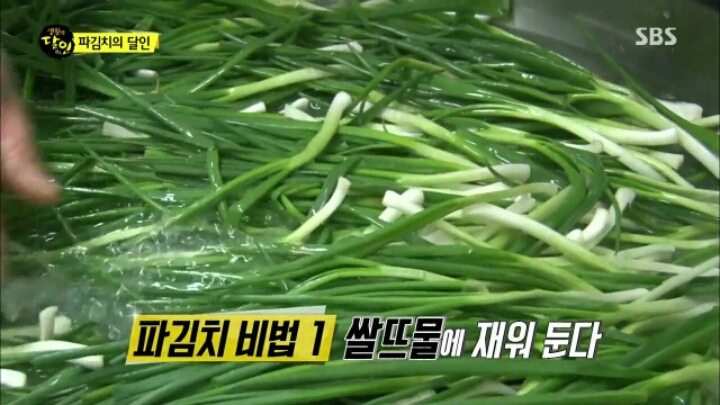 오늘 자 생활의 달인 "파김치, 오이 소박이의 달인 "파김치 좋아하는 사람 커몬 | 인스티즈