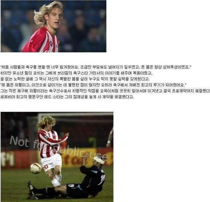 해충갤 전설의 레전드 사건.jpg | 인스티즈