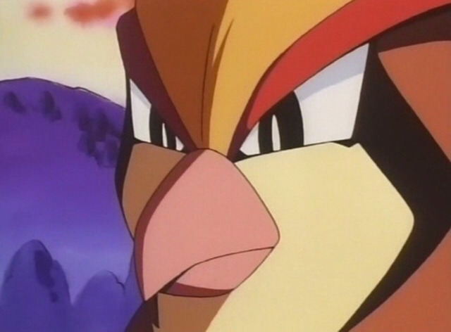 소가 물에 빠지면.?JPG | 인스티즈