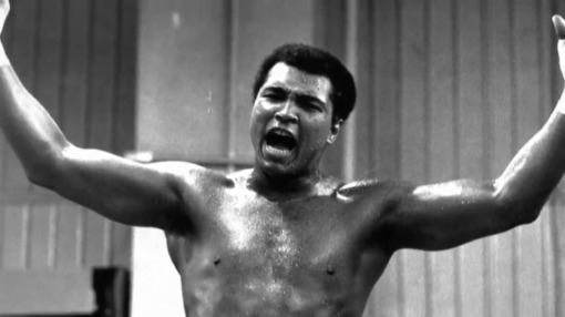 2016년에 세상을 떠난 세계의 재능들 | 인스티즈