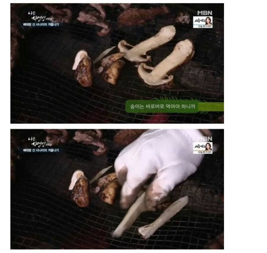 나는 자연인이다 역대급 음식 jpg | 인스티즈