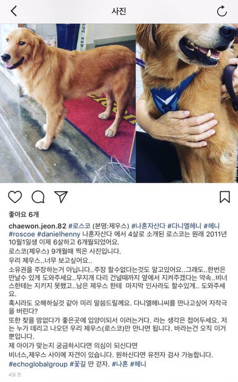 이제와서 자기 개 보고싶다는 다니엘 헤니 입양견 로스코 전주인 | 인스티즈