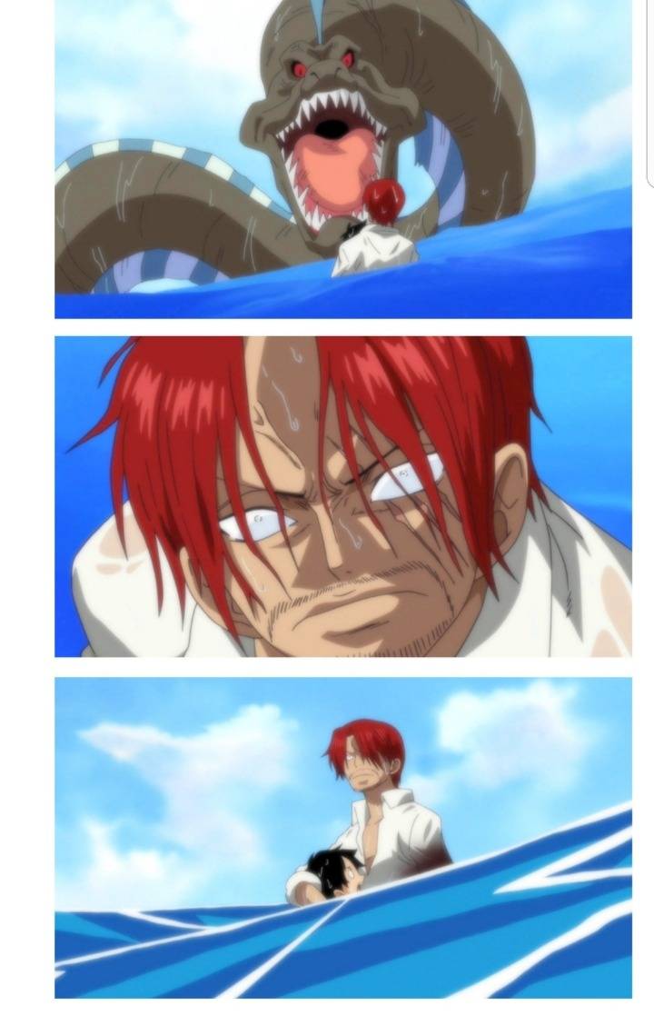 샹크스가 팔을 내준 이유.fact | 인스티즈