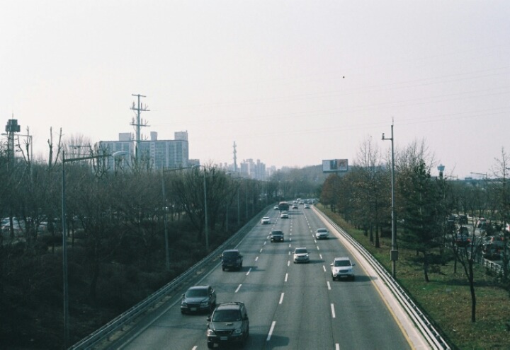 직접 찍은 필름카메라 사진 | 인스티즈