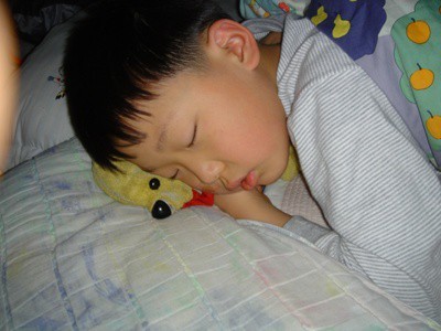 인형 없어질때까지 갖고있을것같은 아이돌.jpg | 인스티즈