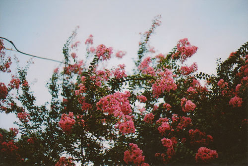 왠지 눈물나는 교과서 문학 작품들.jpg | 인스티즈