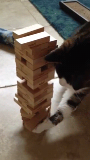 젠가 밑장빼기는 이렇게 하는거다냥! | 인스티즈