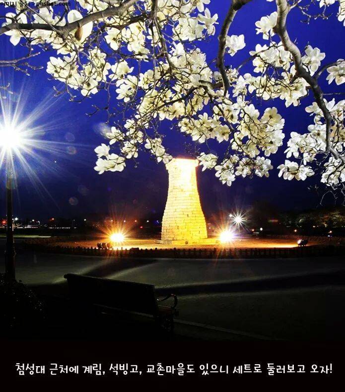 혼자 떠나기도 좋은 경주 여행 | 인스티즈