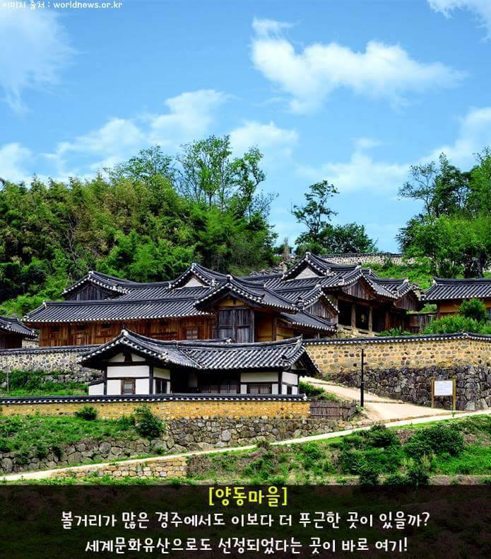 혼자 떠나기도 좋은 경주 여행 | 인스티즈