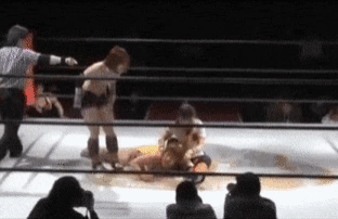 유쾌한 일본 프로레슬링 여자 선수들의 연기.gif | 인스티즈