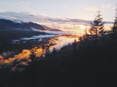 왠지 눈물나는 교과서 문학 작품들.jpg | 인스티즈