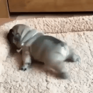 스트레칭.gif | 인스티즈