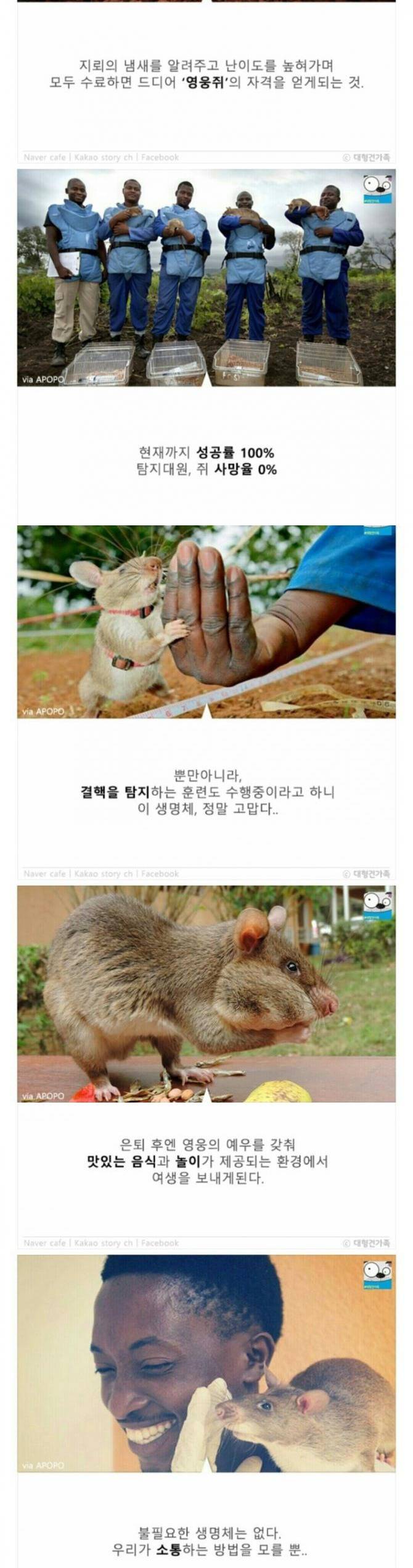 성공률100％ 사망률0％ 제거법 | 인스티즈