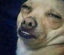 중고거래 사기꾼들 특징 | 인스티즈