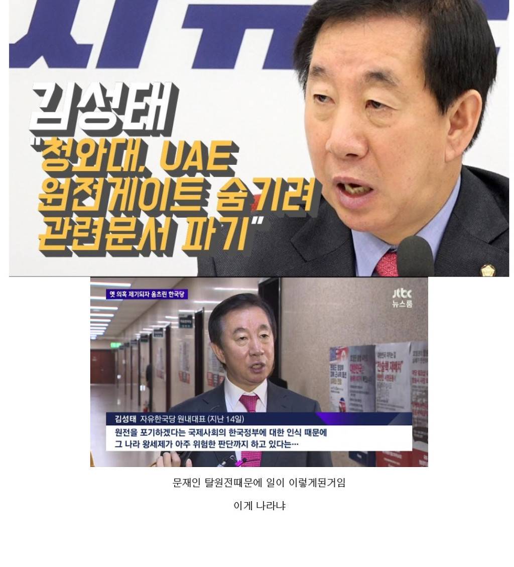 사람들은 잘 모르는 박쥐의 삶 | 인스티즈