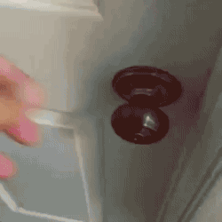 퇴근 후 개 vs 고양이의 반응.gif | 인스티즈