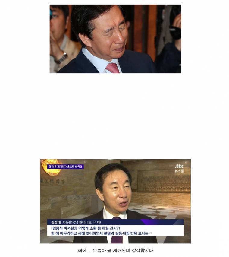 사람들은 잘 모르는 박쥐의 삶 | 인스티즈