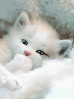 심장을 노리는 흉폭한 녀석들 | 인스티즈