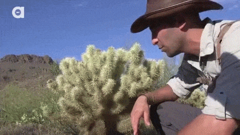 겁이 뭔지 잊어버린 동물 전문가.gif | 인스티즈