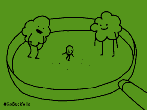 팝콘이 터지는 과정 | 인스티즈