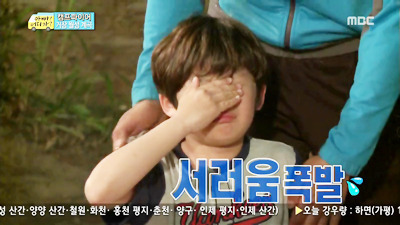 원룸 층간소음으로 매일 밤마다 눈물훔치던 어린 양이 양옆집과 윗집 조져불고 온 이야기 (부제 : 내가 이 구역의 미이란다) + 스크랩풀어쪙!!! | 인스티즈