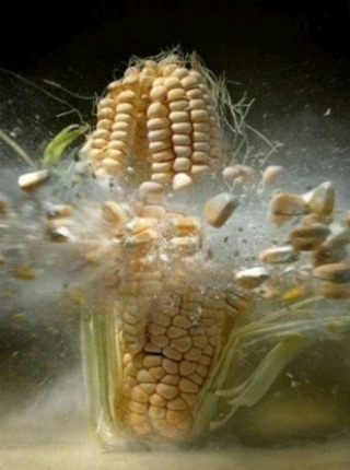 원룸 층간소음으로 매일 밤마다 눈물훔치던 어린 양이 양옆집과 윗집 조져불고 온 이야기 (부제 : 내가 이 구역의 미이란다) + 스크랩풀어쪙!!! | 인스티즈