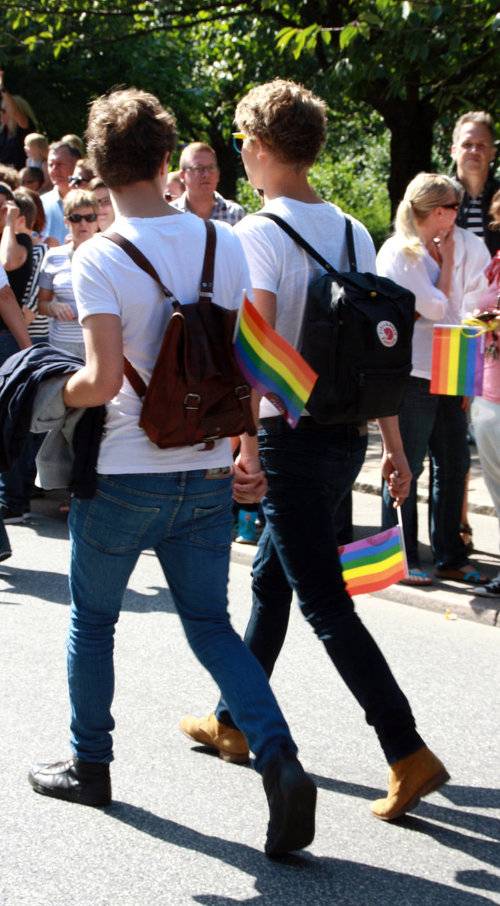 동성애가 우리 사회에서 사라져야하는 이유(호모포비아주의 | 인스티즈