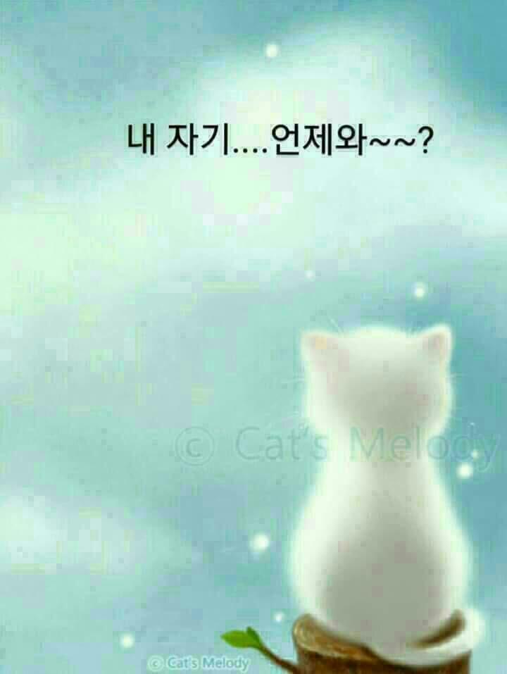 연인에게 가장 많이 하는 거짓말은? | 인스티즈