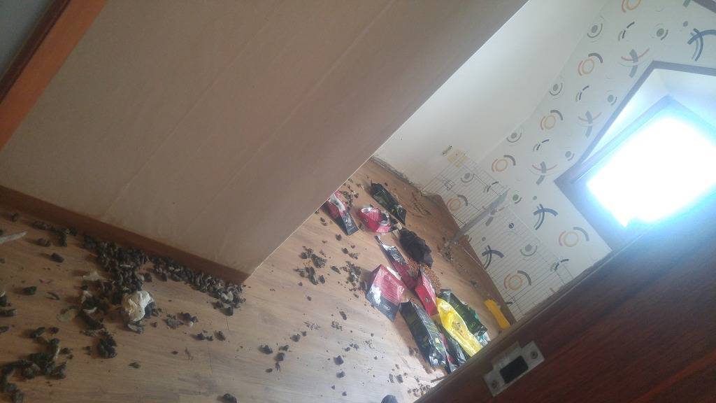 밑에 사진보고 저도 올립니다. 깔끔한 아가씨의 퇴실후 원룸 | 인스티즈