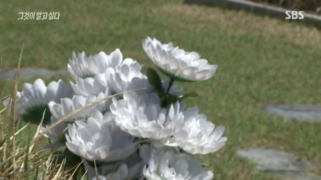 1980년의 전남도청 앞 광주분들이 2017년의 우리에게 무전을 한다면 | 인스티즈