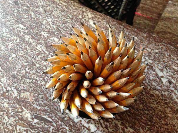 왠지 모르게 기분이 좋아지는 사진들 | 인스티즈