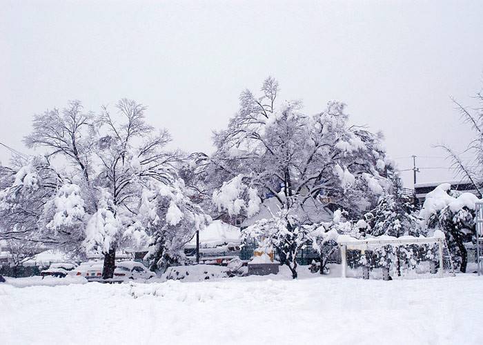 계절 하나 없앨수 있는 능력이 생겼다 시원한겨울vs 느그 모기많고 더운 여름 | 인스티즈