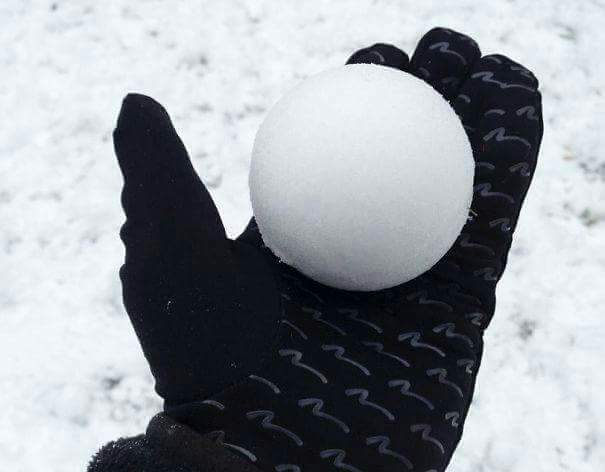 왠지 모르게 기분이 좋아지는 사진들 | 인스티즈