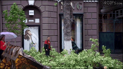 쿨한여자 | 인스티즈