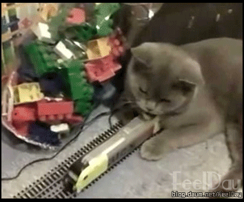 목숨이 한개 더 있는 남자.gif | 인스티즈