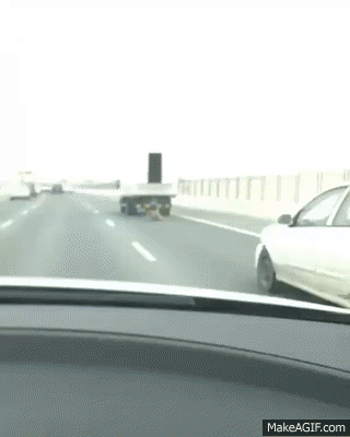 고속도로 역주행.gif | 인스티즈