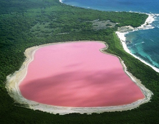 실제로 있는 핑크색 호수 .jpg | 인스티즈
